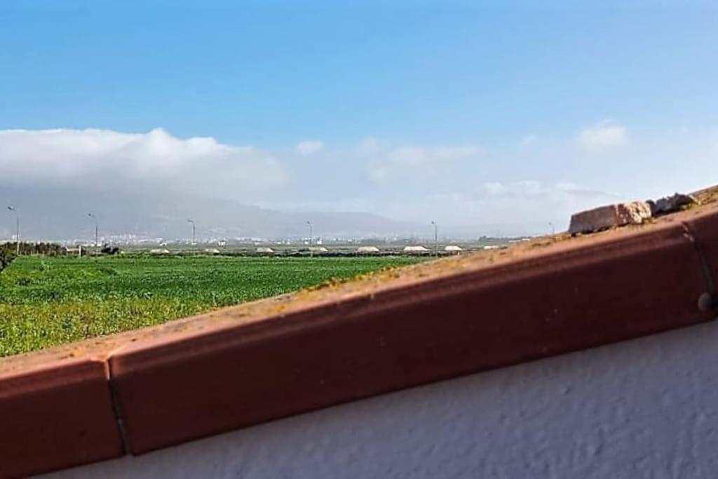 Cammini Di Sale Casa Vacanze Tra Le Saline Torre Nubia Exteriör bild