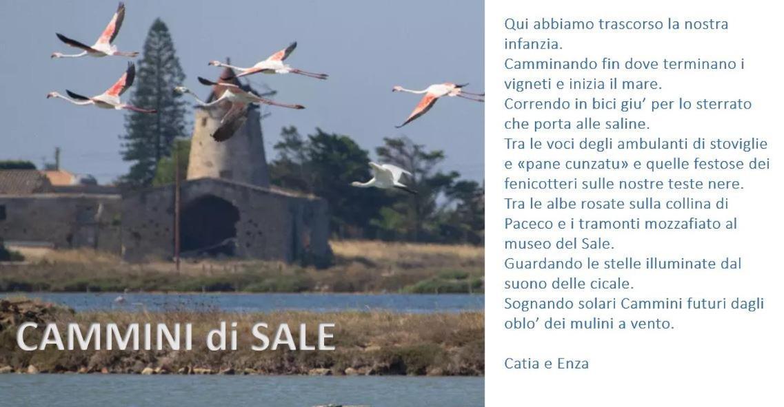 Cammini Di Sale Casa Vacanze Tra Le Saline Torre Nubia Exteriör bild
